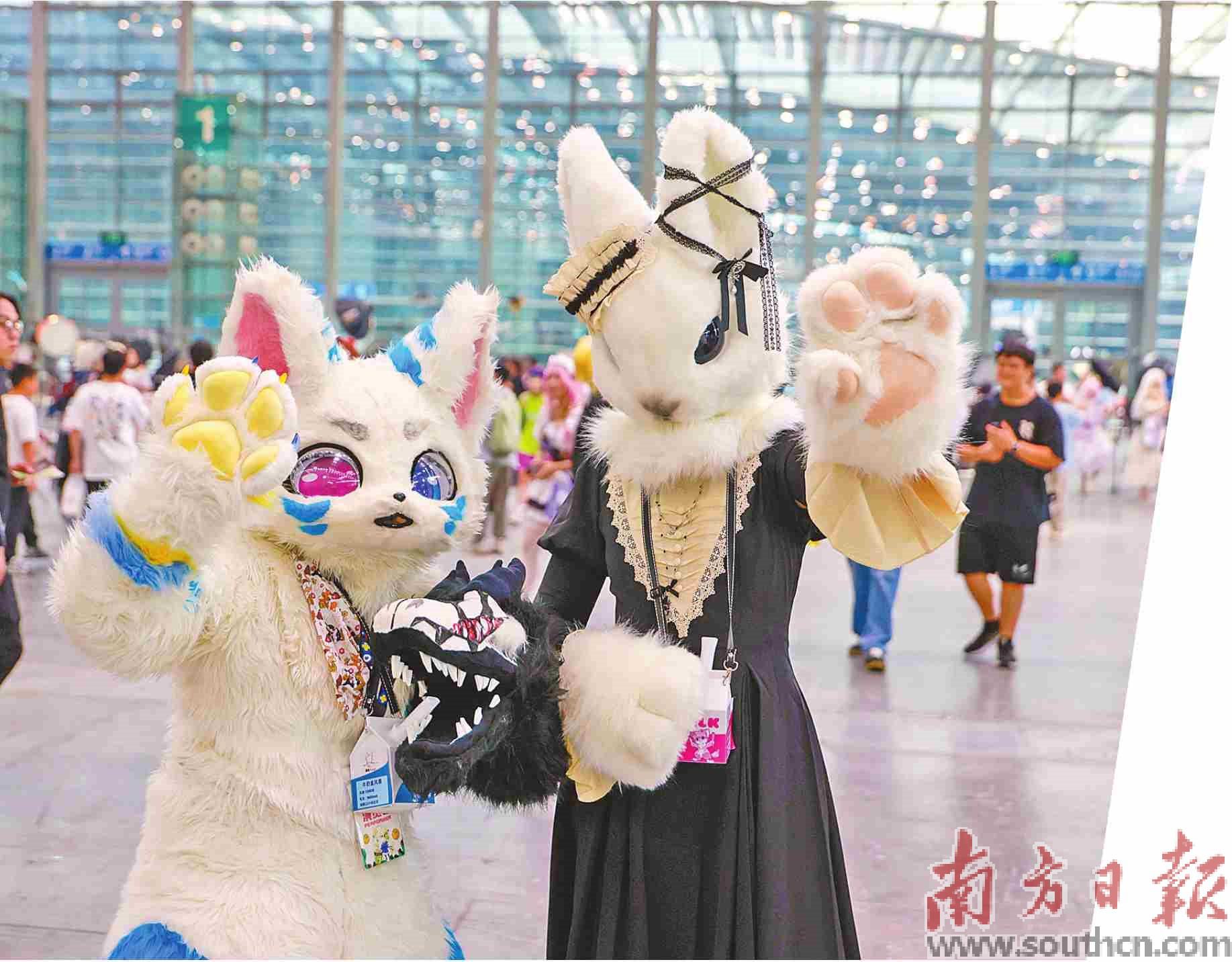 Jjgrb, 还能与开发, img