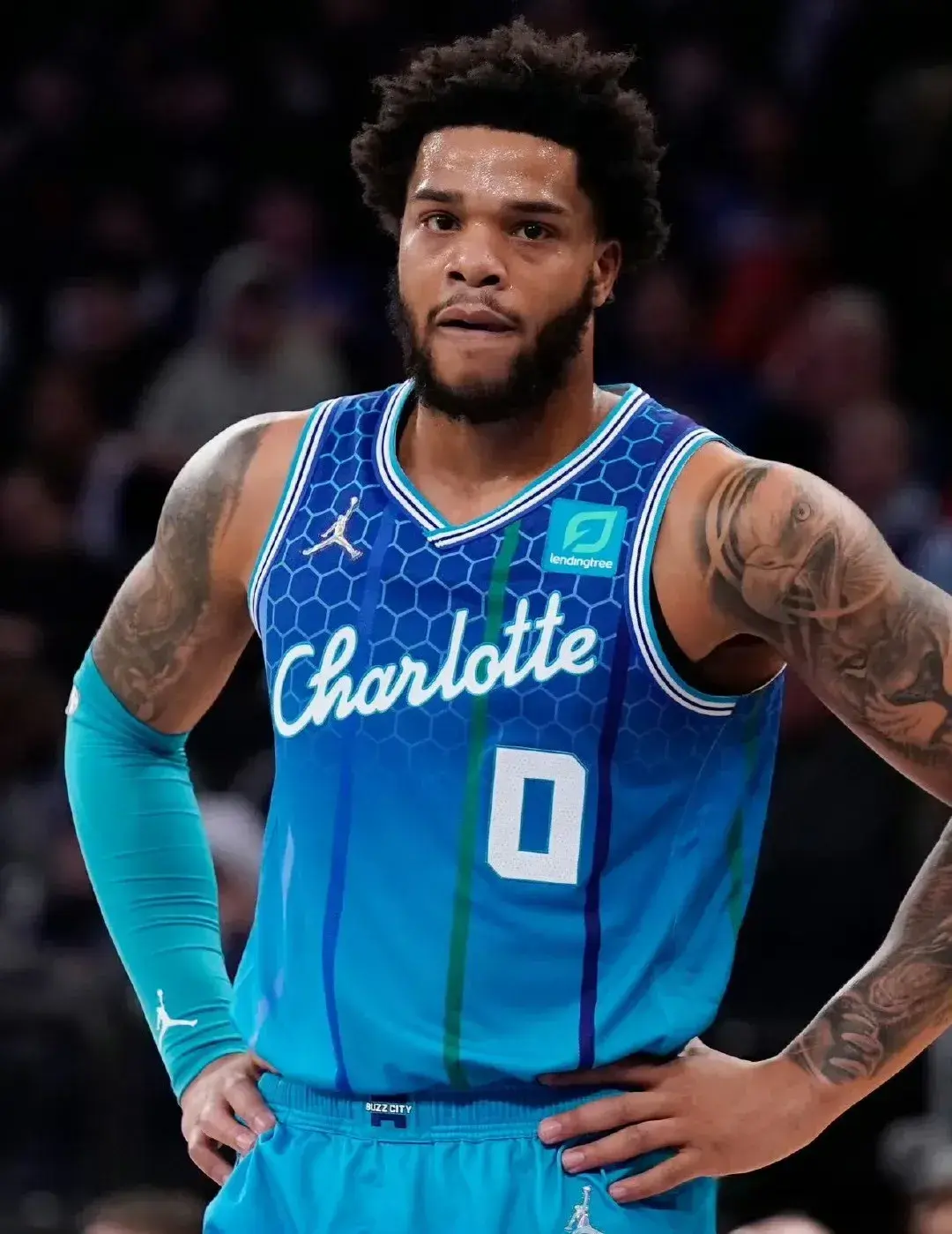 若其能恢复, 榜单