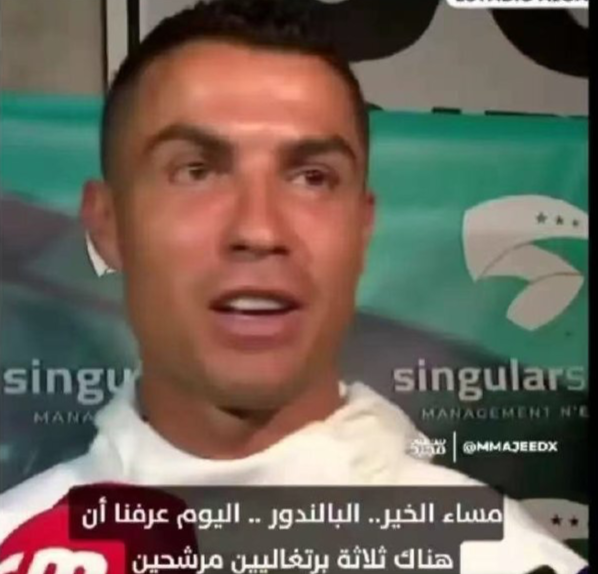 人候选名单, 日晚, img