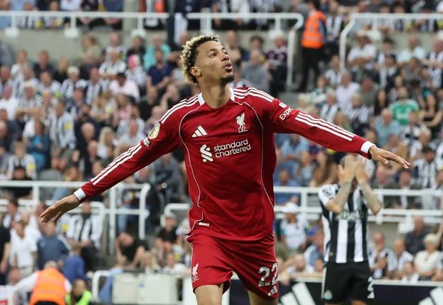 今年夏天, 高达